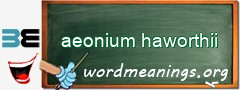 WordMeaning blackboard for aeonium haworthii